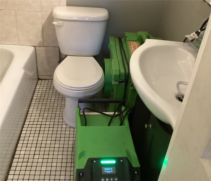 Toilet Overflow Water Damage Cleanup Near Me in Branford, CT